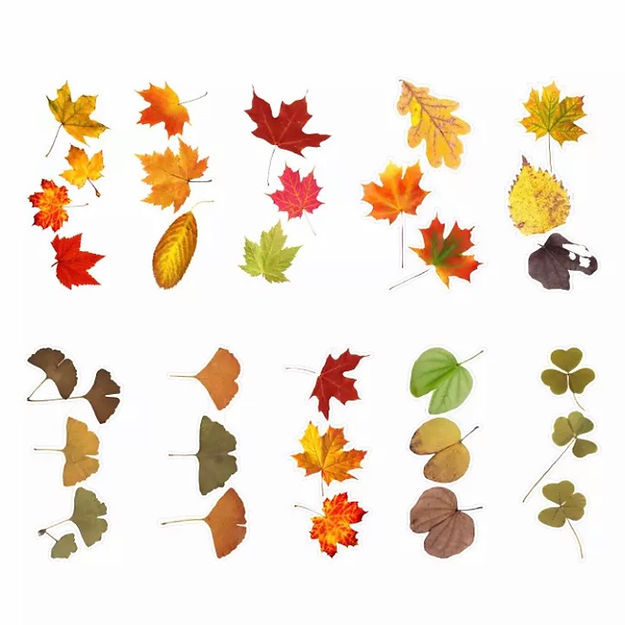 BUJO Deco Flower Stickers 5-