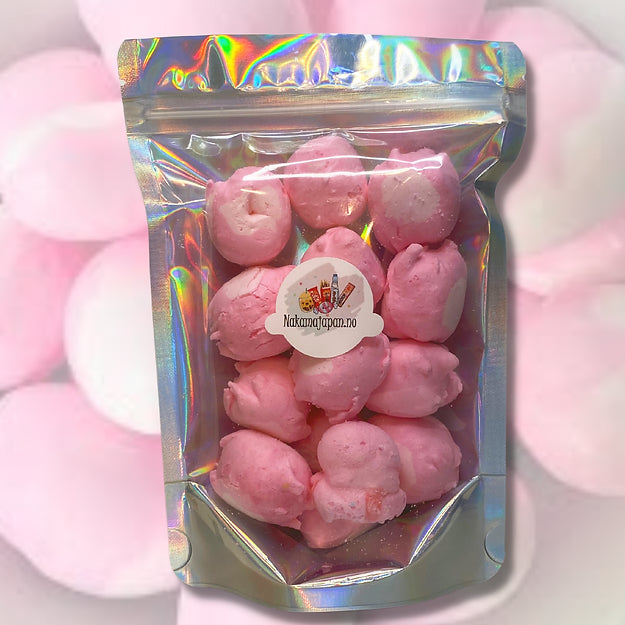 Freeze Dried Salt Water Taffy Bubblegum