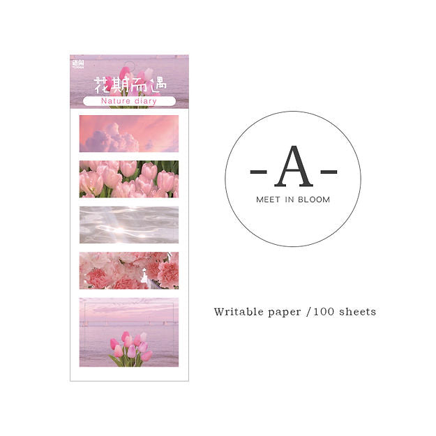 BUJO Landscape Decorative Sticky Notes