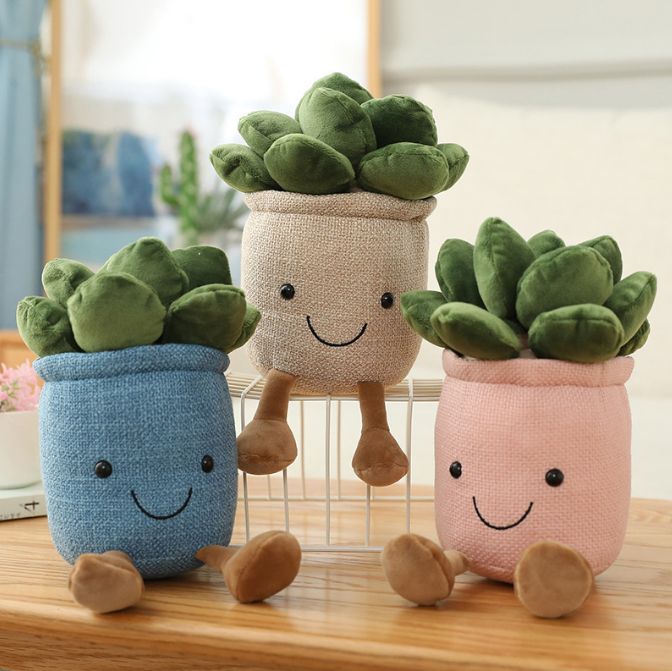 Kosebamse Plante i Potte 20cm
