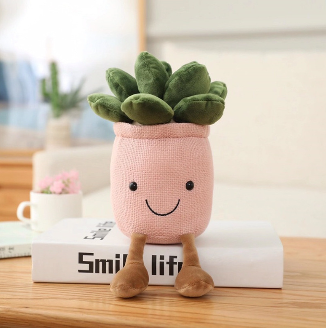 Kosebamse Plante i Potte 20cm