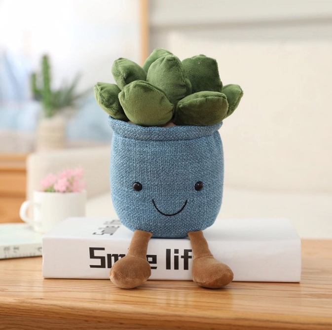 Kosebamse Plante i Potte 20cm