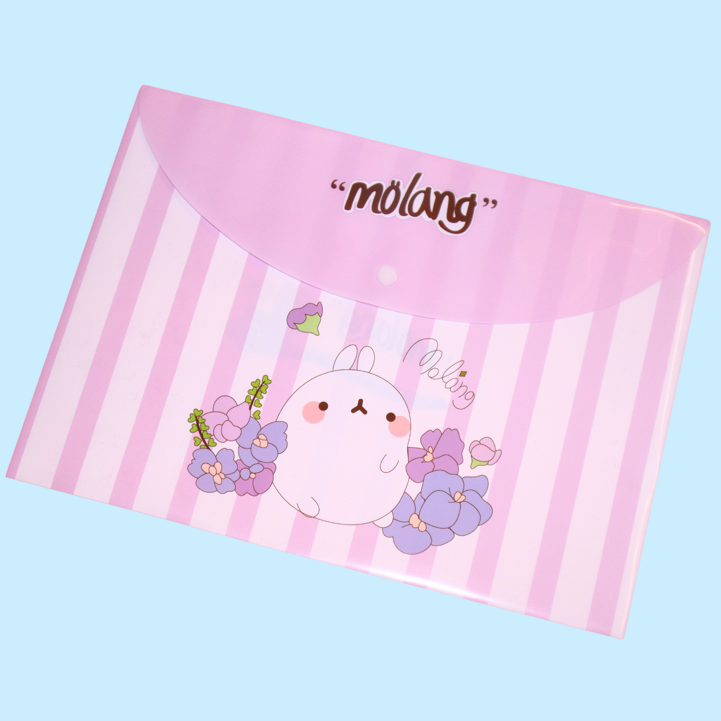 A4 Mappe Molang