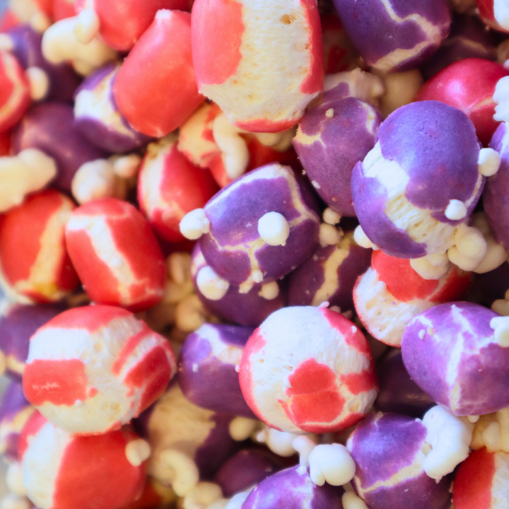 Freeze Dried Kastanjer Wild Berry 100g