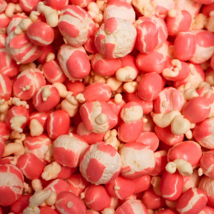 Freeze Dried Kastanjer Bubblegum 100g