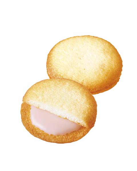 Petit Mini Strawberry Langues De Chat Cookies 40g (BOURBON)