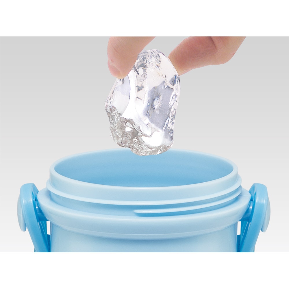 Sanrio Cinnamoroll Water Bottle 480ml (SKATER)