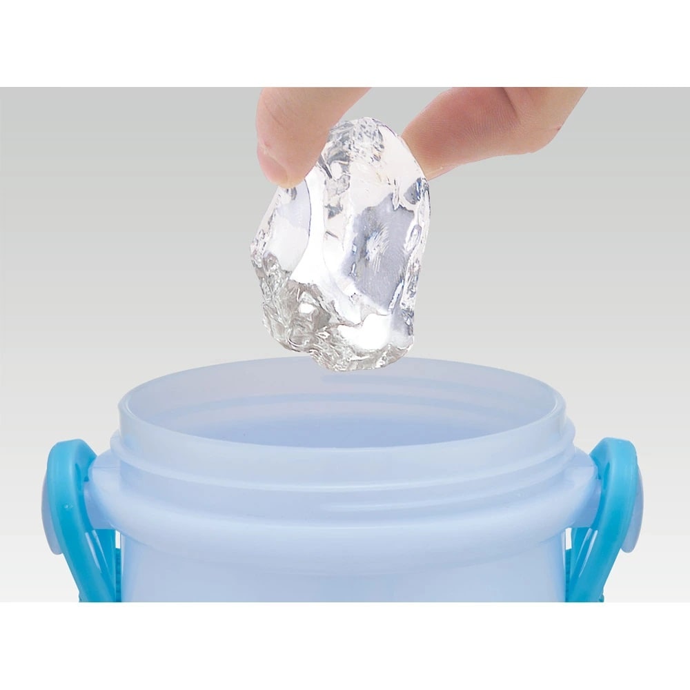 Disney Frozen One Push Water Bottle 480ml (SKATER)