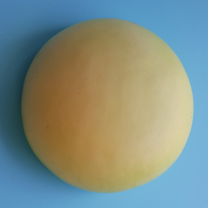 Squishy Jumbo Steamed Bun Matcha