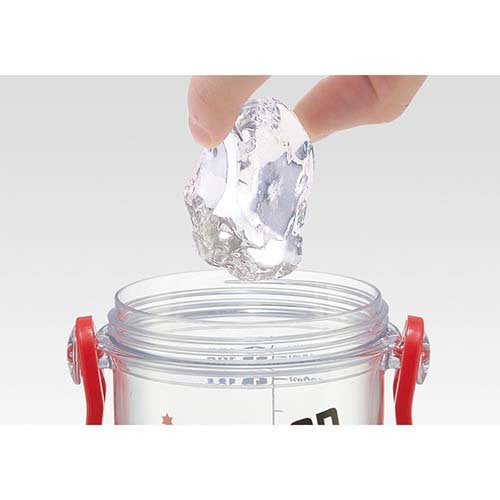 Pokemon Water Bottle 480ml (SKATER)