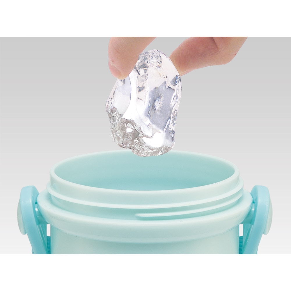 Pokemon Water Bottle 480ml (SKATER)