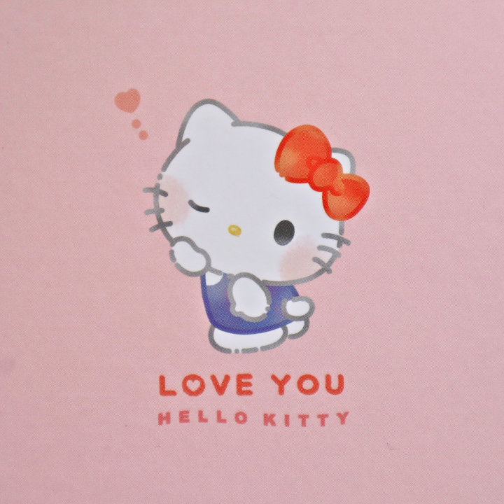 A6 Skrivebok Sanrio Ring Rutenotatbok (SANRIO)