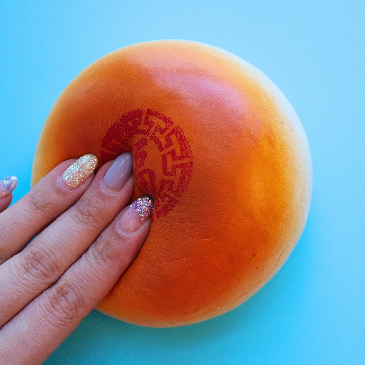 Squishy Jumbo Chinese Steamed Bun