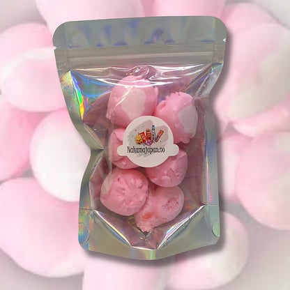 Freeze Dried Salt Water Taffy Bubblegum