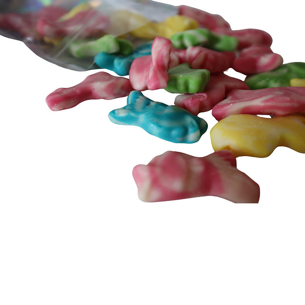 Swirly Fish Gummy (Kingsway)