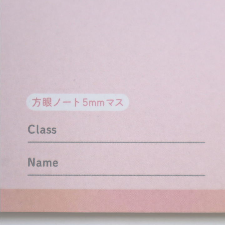 A4 Skrivebok Sanrio 5 mm Rutenotatbok (SANRIO)