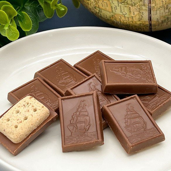Alfort Chocolate Biscuits 55g (BOURBON)