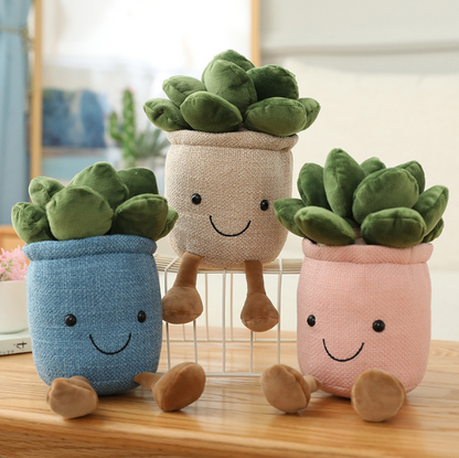 Kosebamse Plante i Potte 20cm