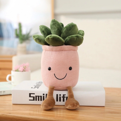 Kosebamse Plante i Potte 20cm