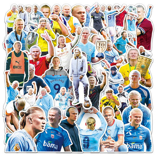 Sticker Flakes Erling Haaland