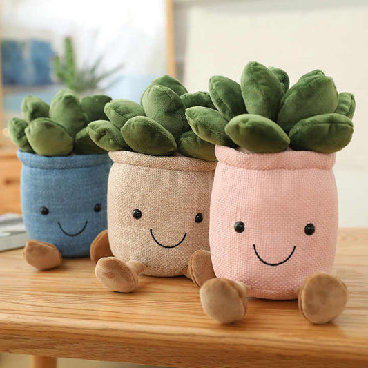 Kosebamse Plante i Potte 20cm