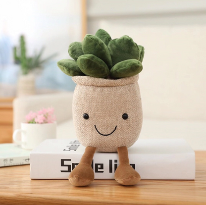 Kosebamse Plante i Potte 20cm