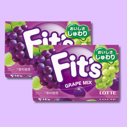 Fit's Gum Grape Mix 12 stk (LOTTE)