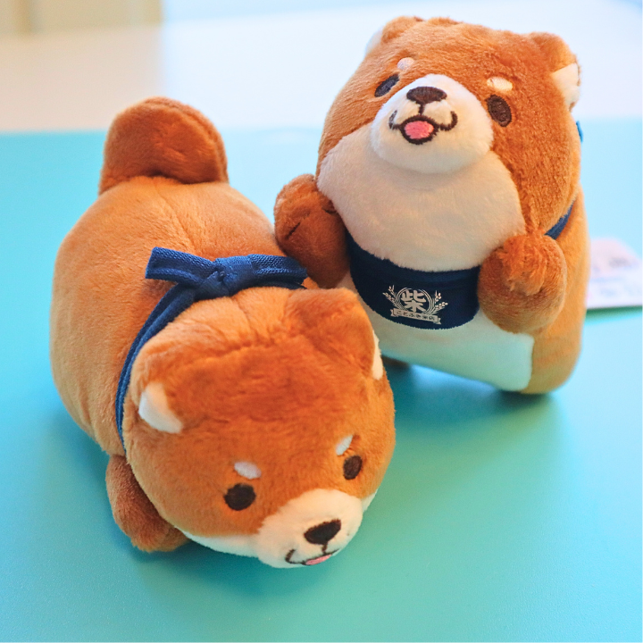Chuken Mochi Shiba Plush Okaka (SK JAPAN)