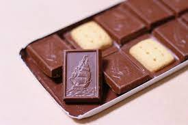 Alfort Chocolate Biscuits 55g (BOURBON)