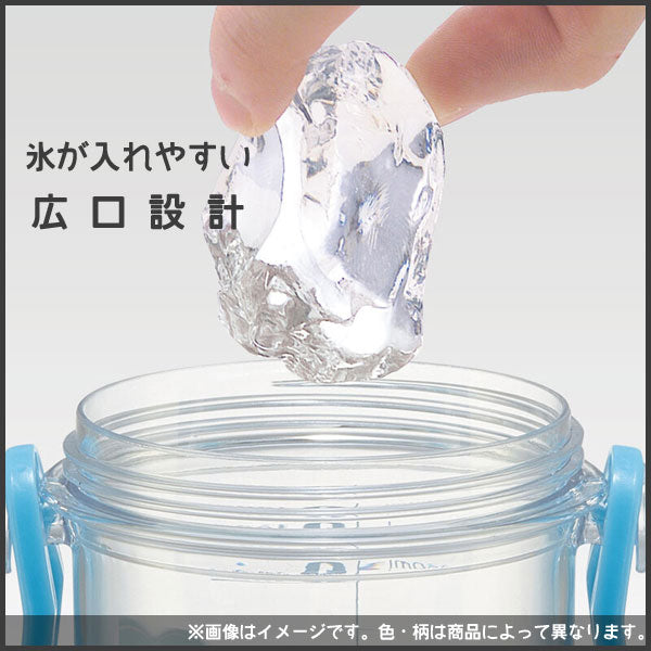 Sanrio Cinnamoroll Water Bottle 480ml (SKATER)